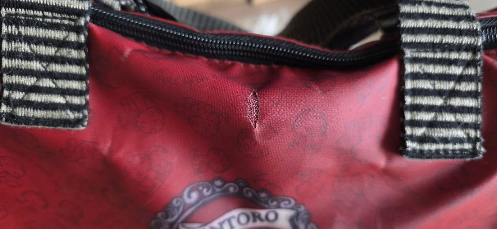 Bolsa Santoro – photo 6